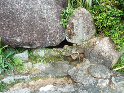 山泉水一定很甜