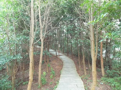 一个人走向西边山顶，感觉路很漫长&hellip;