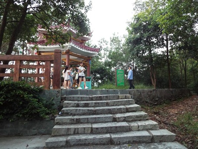 回去前，我还不忘回头拍一个南山顶